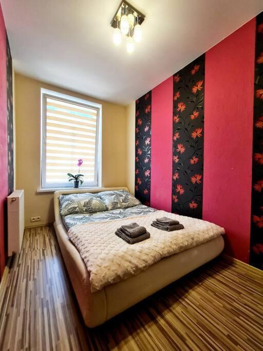 Mikolajki Apartament Miedzy Mostami Esterno foto